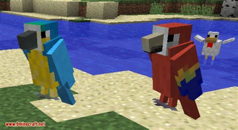 minecraft parrot mod.